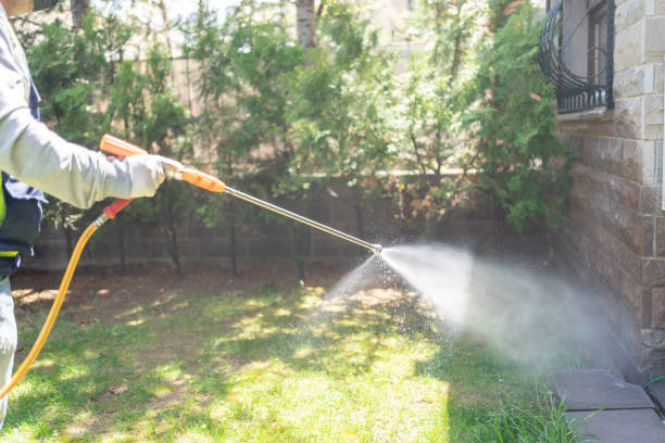 Wasp Removal Services in Hidden Hills, CA