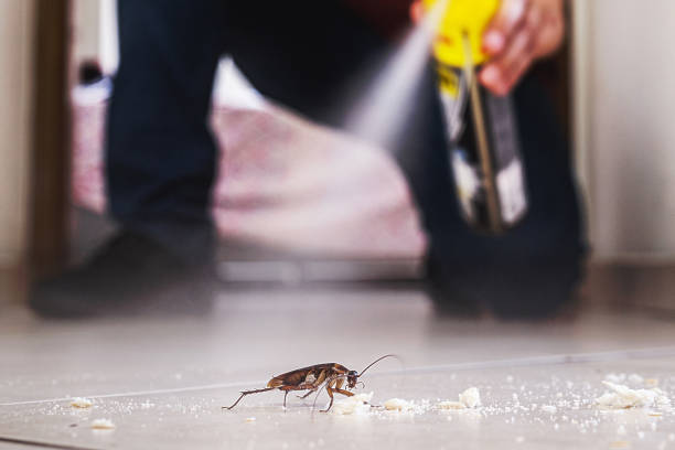 Pest Prevention Services in Hidden Hills, CA